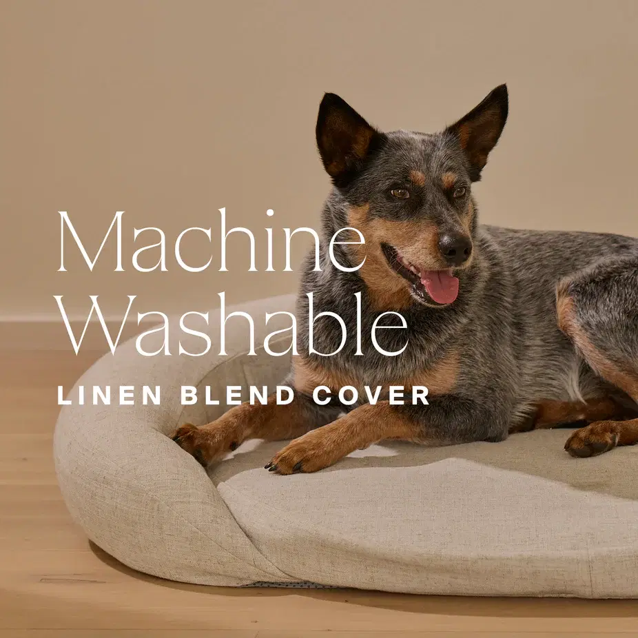 Infrared PEMF Pet Bed image 3