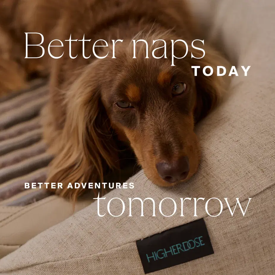 Infrared PEMF Pet Bed image 9