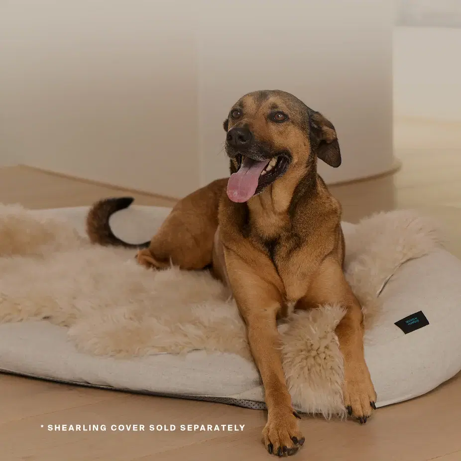 Infrared PEMF Pet Bed image 10
