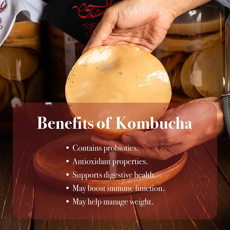 Kombucha Kit image 2