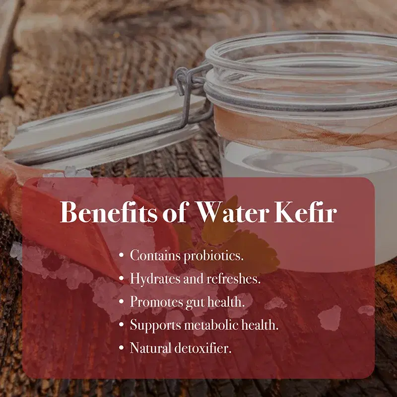 Water Kefir Making kit image 2