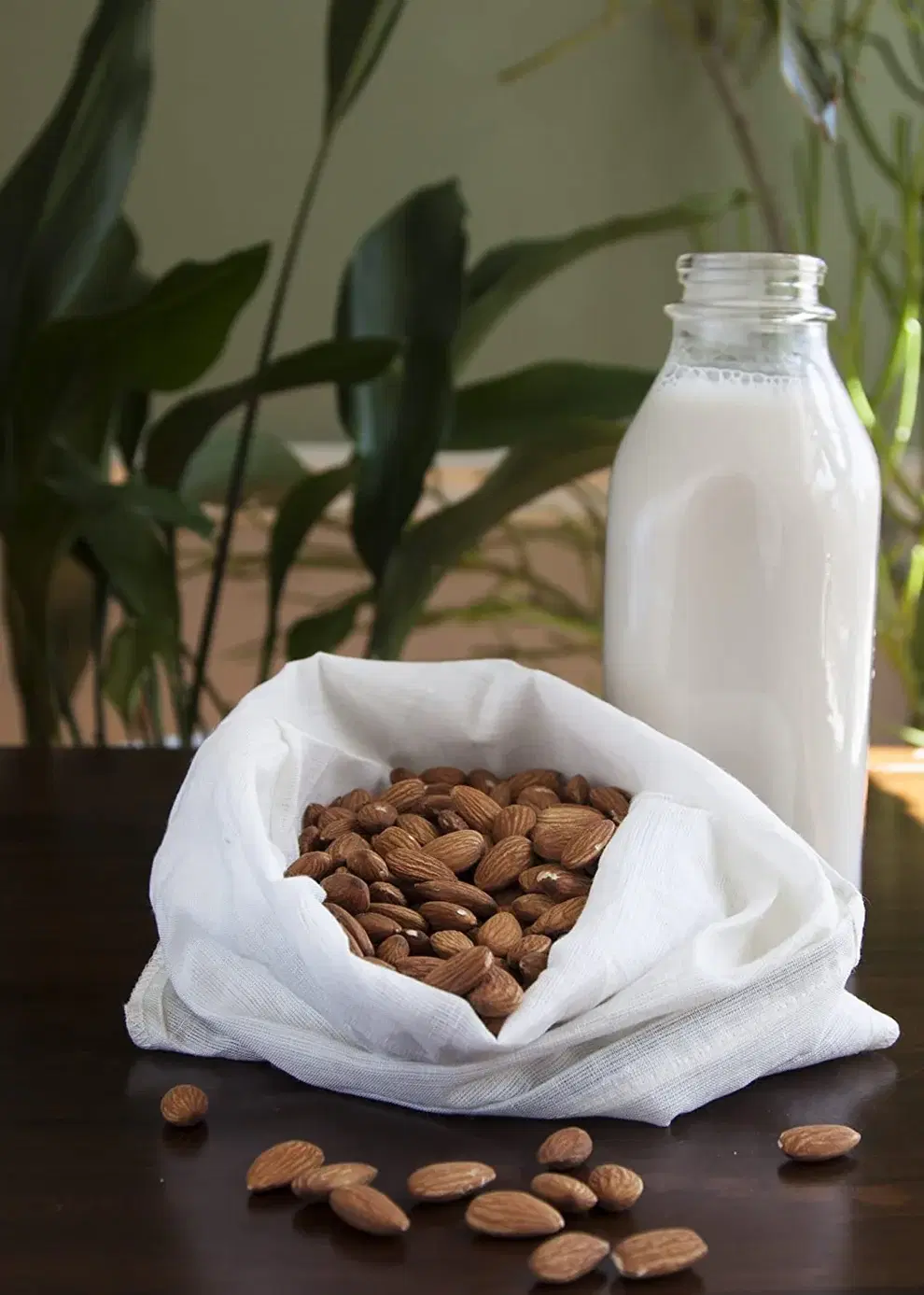 Organic Hemp & Cotton Nut Milk Bags image 6