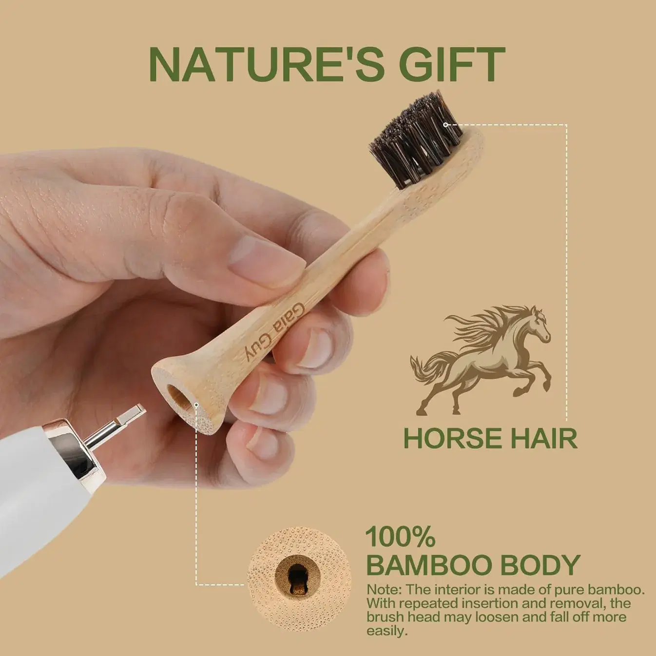 Horsehair Electric Toothbrush Heads image 6